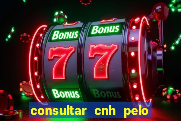 consultar cnh pelo cpf sp